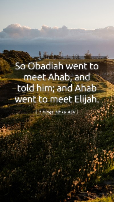 Picture 05 - 1 Kings 18:16 ASV Mobile Phone Wallpaper - So Obadiah went to meet Ahab, and told him; and - Mobile Bible Verse Wallpaper