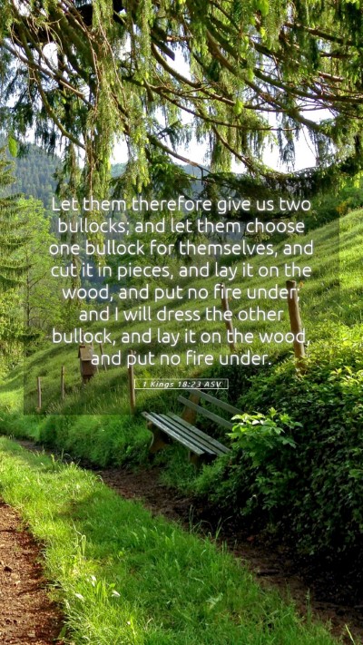 Picture 05 - 1 Kings 18:23 ASV Mobile Phone Wallpaper - Let them therefore give us two bullocks; and let - Mobile Bible Verse Wallpaper