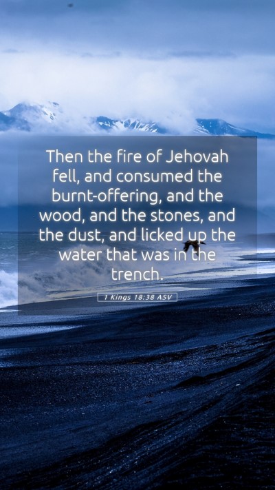 Picture 05 - 1 Kings 18:38 ASV Mobile Phone Wallpaper - Then the fire of Jehovah fell, and consumed the - Mobile Bible Verse Wallpaper