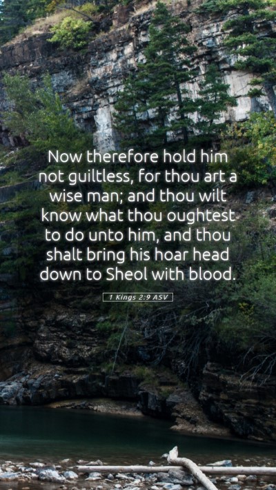 Picture 05 - 1 Kings 2:9 ASV Mobile Phone Wallpaper - Now therefore hold him not guiltless, for thou - Mobile Bible Verse Wallpaper