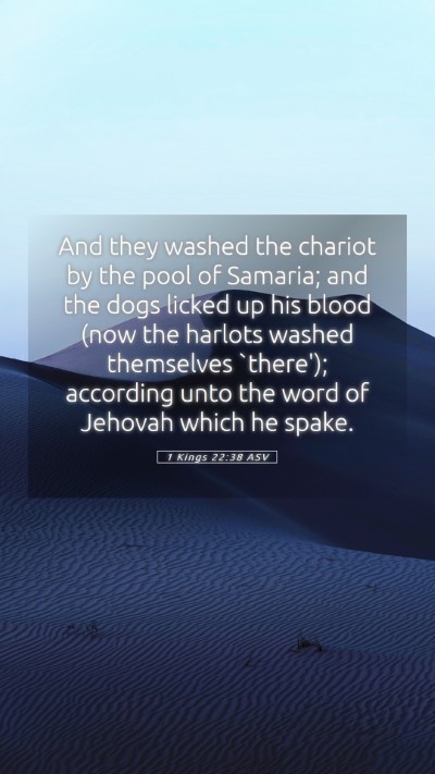 Picture 05 - 1 Kings 22:38 ASV Mobile Phone Wallpaper - And they washed the chariot by the pool of - Mobile Bible Verse Wallpaper