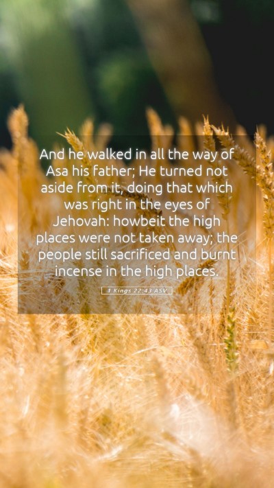 Picture 05 - 1 Kings 22:43 ASV Mobile Phone Wallpaper - And he walked in all the way of Asa his father; - Mobile Bible Verse Wallpaper
