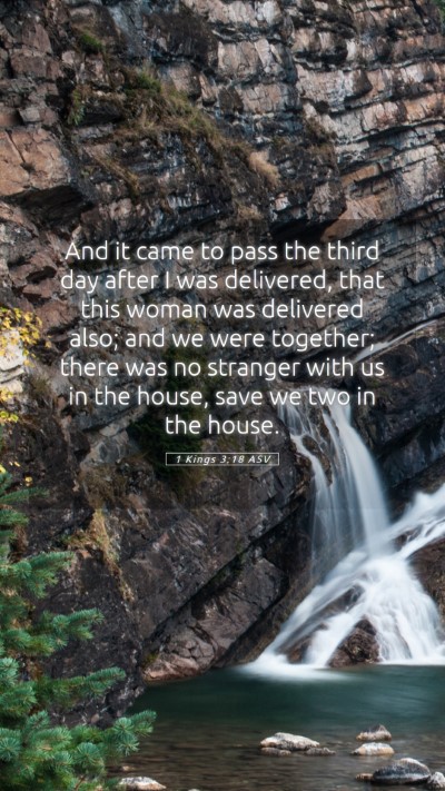 Picture 05 - 1 Kings 3:18 ASV Mobile Phone Wallpaper - And it came to pass the third day after I was - Mobile Bible Verse Wallpaper