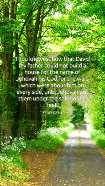 Picture 05 - 1 Kings 5:3 ASV Mobile Phone Wallpaper - Thou knowest how that David my father could not - Mobile Bible Verse Wallpaper