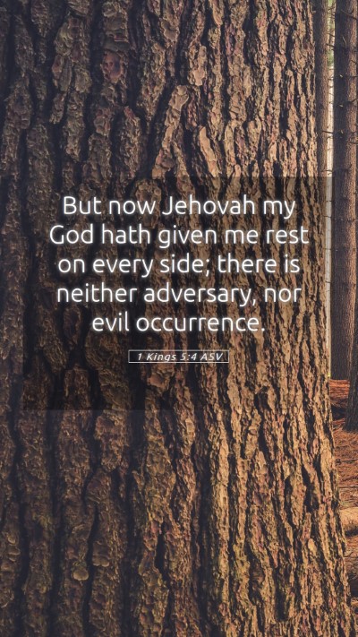 Picture 05 - 1 Kings 5:4 ASV Mobile Phone Wallpaper - But now Jehovah my God hath given me rest on - Mobile Bible Verse Wallpaper