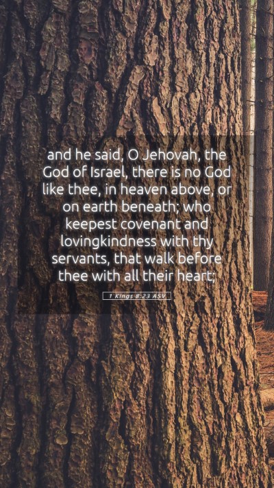 Picture 05 - 1 Kings 8:23 ASV Mobile Phone Wallpaper - and he said, O Jehovah, the God of Israel, there - Mobile Bible Verse Wallpaper