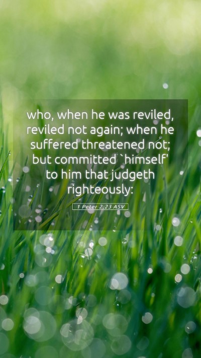 Picture 05 - 1 Peter 2:23 ASV Mobile Phone Wallpaper - who, when he was reviled, reviled not again; when - Mobile Bible Verse Wallpaper