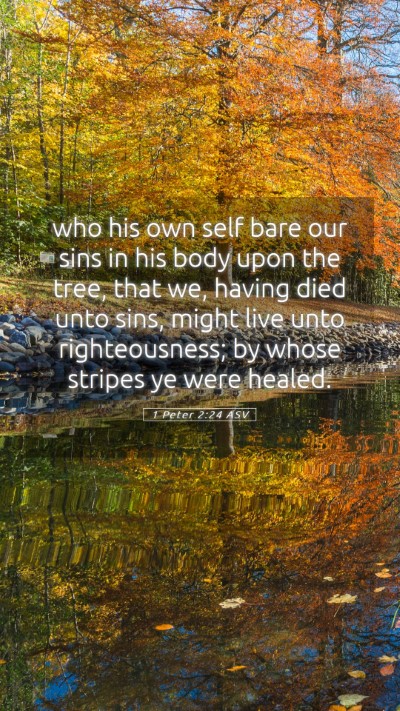 Picture 05 - 1 Peter 2:24 ASV Mobile Phone Wallpaper - who his own self bare our sins in his body upon - Mobile Bible Verse Wallpaper