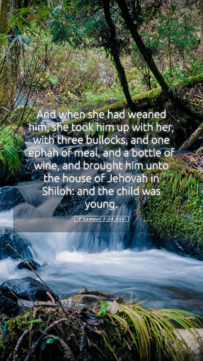 Picture 05 - 1 Samuel 1:24 ASV Mobile Phone Wallpaper - And when she had weaned him, she took him up with - Mobile Bible Verse Wallpaper