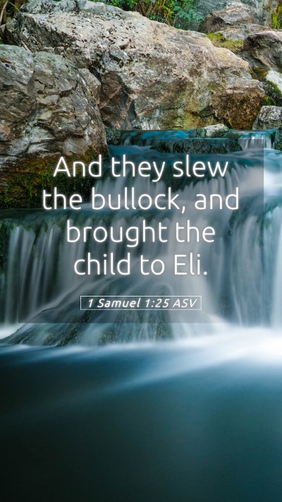 Picture 05 - 1 Samuel 1:25 ASV Mobile Phone Wallpaper - And they slew the bullock, and brought the child - Mobile Bible Verse Wallpaper