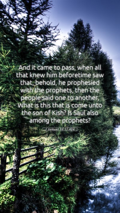 Picture 05 - 1 Samuel 10:11 ASV Mobile Phone Wallpaper - And it came to pass, when all that knew him - Mobile Bible Verse Wallpaper