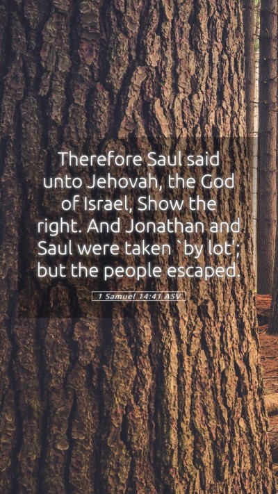 Picture 05 - 1 Samuel 14:41 ASV Mobile Phone Wallpaper - Therefore Saul said unto Jehovah, the God of - Mobile Bible Verse Wallpaper