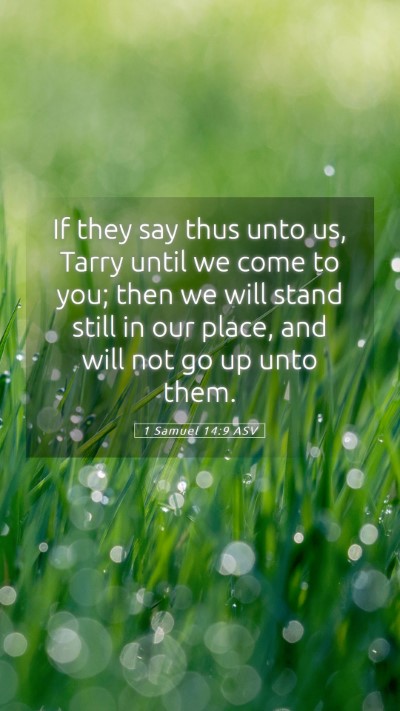 Picture 05 - 1 Samuel 14:9 ASV Mobile Phone Wallpaper - If they say thus unto us, Tarry until we come to - Mobile Bible Verse Wallpaper