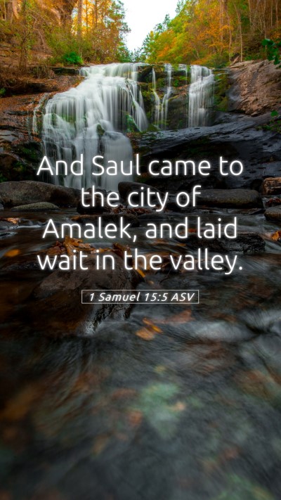 Picture 05 - 1 Samuel 15:5 ASV Mobile Phone Wallpaper - And Saul came to the city of Amalek, and laid - Mobile Bible Verse Wallpaper