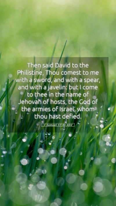 Picture 05 - 1 Samuel 17:45 ASV Mobile Phone Wallpaper - Then said David to the Philistine, Thou comest to - Mobile Bible Verse Wallpaper