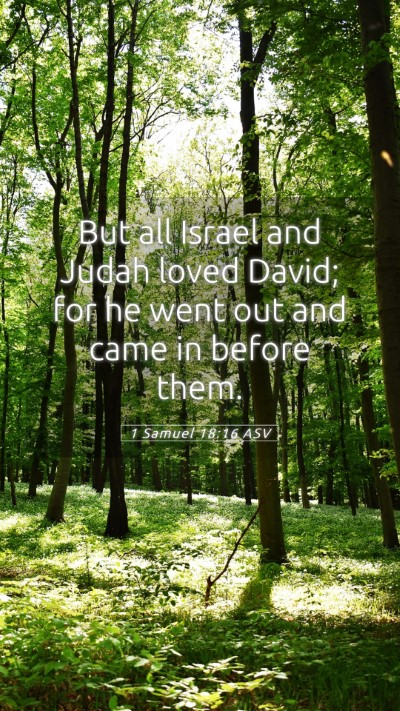 Picture 05 - 1 Samuel 18:16 ASV Mobile Phone Wallpaper - But all Israel and Judah loved David; for he went - Mobile Bible Verse Wallpaper