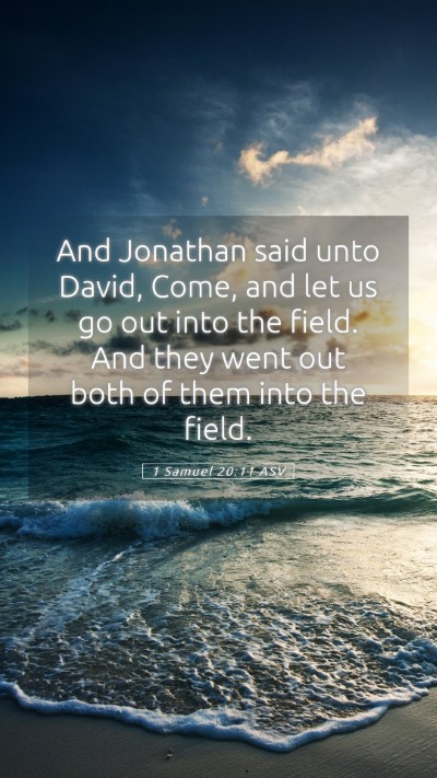 Picture 05 - 1 Samuel 20:11 ASV Mobile Phone Wallpaper - And Jonathan said unto David, Come, and let us go - Mobile Bible Verse Wallpaper