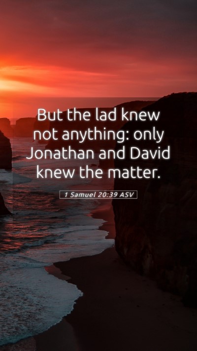 Picture 05 - 1 Samuel 20:39 ASV Mobile Phone Wallpaper - But the lad knew not anything: only Jonathan and - Mobile Bible Verse Wallpaper