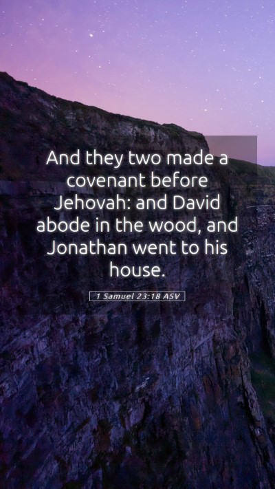 Picture 05 - 1 Samuel 23:18 ASV Mobile Phone Wallpaper - And they two made a covenant before Jehovah: and - Mobile Bible Verse Wallpaper
