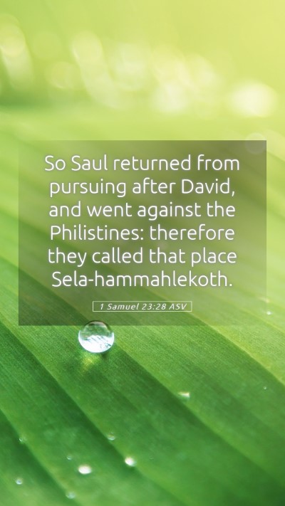 Picture 05 - 1 Samuel 23:28 ASV Mobile Phone Wallpaper - So Saul returned from pursuing after David, and - Mobile Bible Verse Wallpaper
