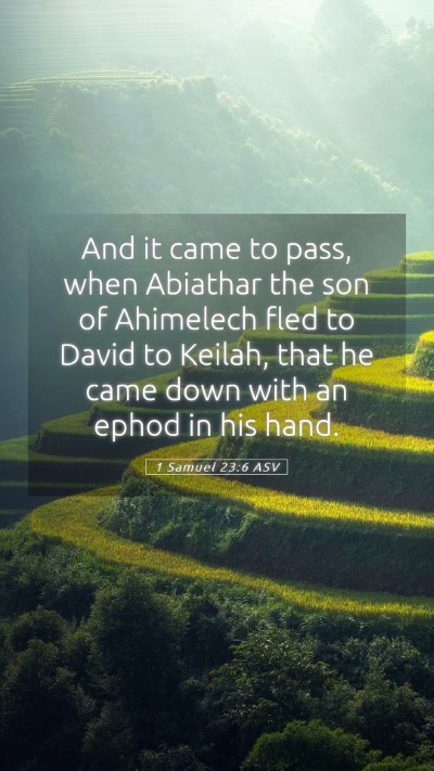 Picture 05 - 1 Samuel 23:6 ASV Mobile Phone Wallpaper - And it came to pass, when Abiathar the son of - Mobile Bible Verse Wallpaper