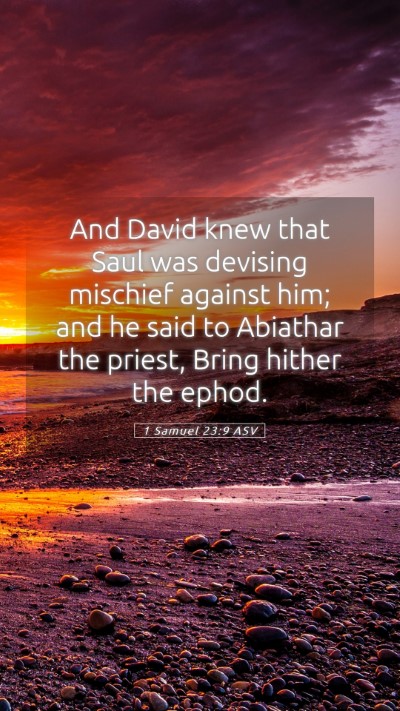 Picture 05 - 1 Samuel 23:9 ASV Mobile Phone Wallpaper - And David knew that Saul was devising mischief - Mobile Bible Verse Wallpaper