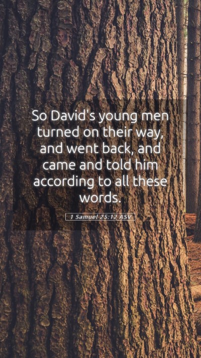 Picture 05 - 1 Samuel 25:12 ASV Mobile Phone Wallpaper - So David's young men turned on their way, and - Mobile Bible Verse Wallpaper