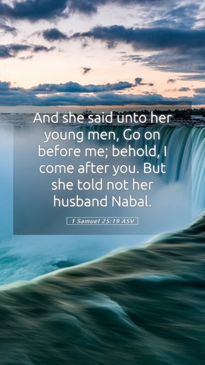 Picture 05 - 1 Samuel 25:19 ASV Mobile Phone Wallpaper - And she said unto her young men, Go on before me; - Mobile Bible Verse Wallpaper