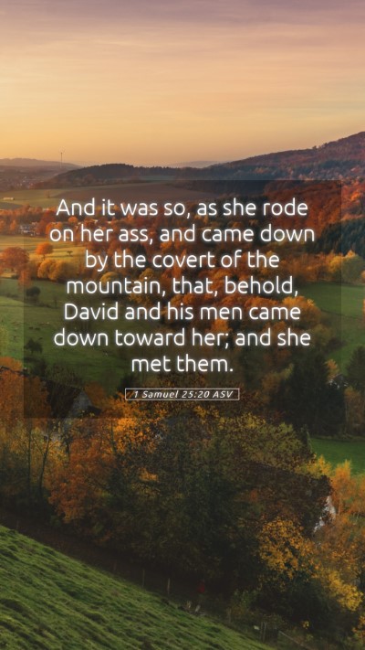 Picture 05 - 1 Samuel 25:20 ASV Mobile Phone Wallpaper - And it was so, as she rode on her ass, and came - Mobile Bible Verse Wallpaper