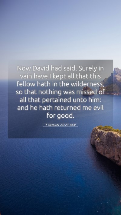 Picture 05 - 1 Samuel 25:21 ASV Mobile Phone Wallpaper - Now David had said, Surely in vain have I kept - Mobile Bible Verse Wallpaper