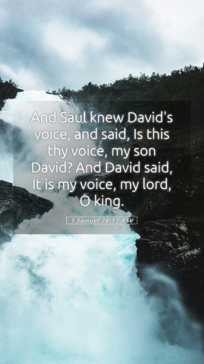 Picture 05 - 1 Samuel 26:17 ASV Mobile Phone Wallpaper - And Saul knew David's voice, and said, Is this - Mobile Bible Verse Wallpaper