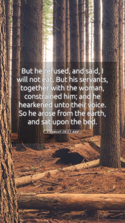 Picture 05 - 1 Samuel 28:23 ASV Mobile Phone Wallpaper - But he refused, and said, I will not eat. But his - Mobile Bible Verse Wallpaper