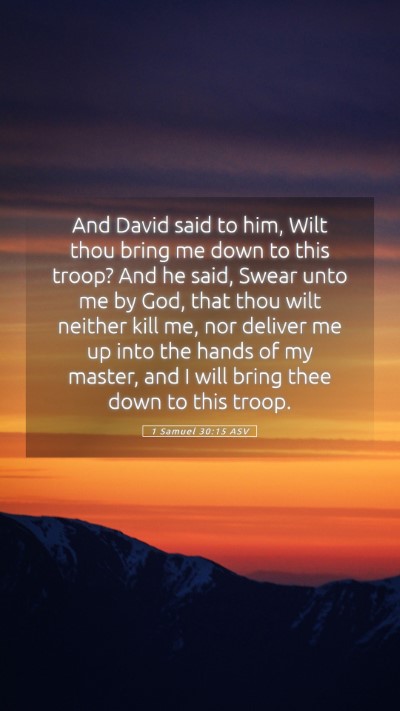 Picture 05 - 1 Samuel 30:15 ASV Mobile Phone Wallpaper - And David said to him, Wilt thou bring me down to - Mobile Bible Verse Wallpaper