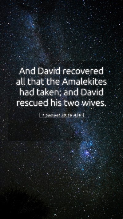 Picture 05 - 1 Samuel 30:18 ASV Mobile Phone Wallpaper - And David recovered all that the Amalekites had - Mobile Bible Verse Wallpaper