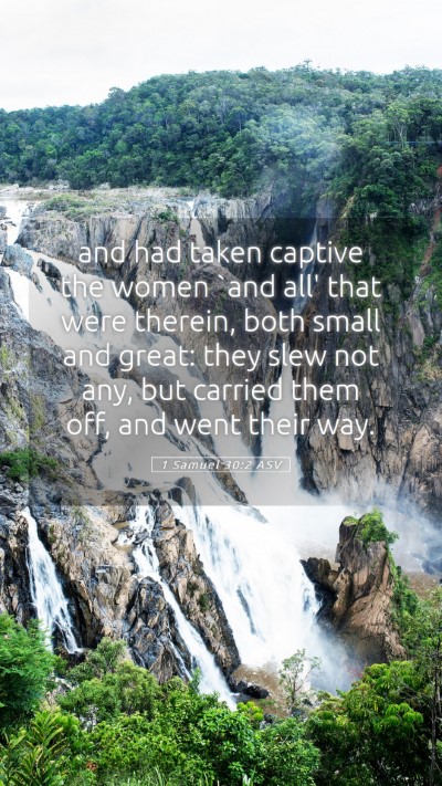 Picture 05 - 1 Samuel 30:2 ASV Mobile Phone Wallpaper - and had taken captive the women `and all' that - Mobile Bible Verse Wallpaper