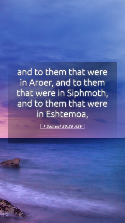 Picture 05 - 1 Samuel 30:28 ASV Mobile Phone Wallpaper - and to them that were in Aroer, and to them that - Mobile Bible Verse Wallpaper