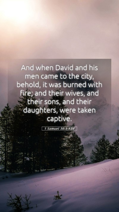 Picture 05 - 1 Samuel 30:3 ASV Mobile Phone Wallpaper - And when David and his men came to the city, - Mobile Bible Verse Wallpaper