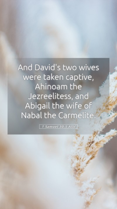 Picture 05 - 1 Samuel 30:5 ASV Mobile Phone Wallpaper - And David's two wives were taken captive, Ahinoam - Mobile Bible Verse Wallpaper