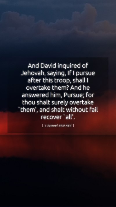 Picture 05 - 1 Samuel 30:8 ASV Mobile Phone Wallpaper - And David inquired of Jehovah, saying, If I - Mobile Bible Verse Wallpaper