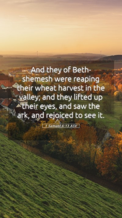 Picture 05 - 1 Samuel 6:13 ASV Mobile Phone Wallpaper - And they of Beth-shemesh were reaping their wheat - Mobile Bible Verse Wallpaper