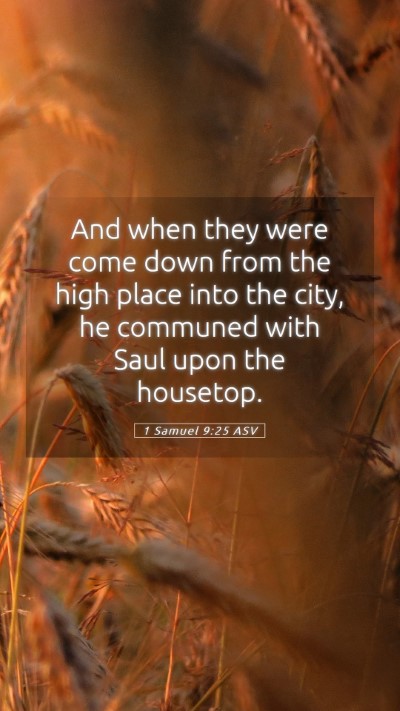 Picture 05 - 1 Samuel 9:25 ASV Mobile Phone Wallpaper - And when they were come down from the high place - Mobile Bible Verse Wallpaper