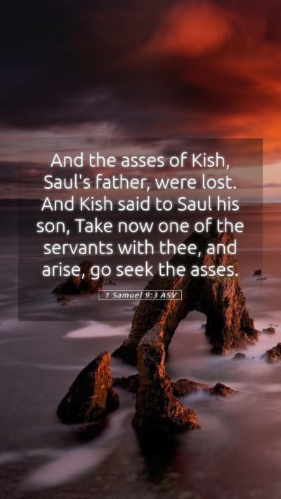 Picture 05 - 1 Samuel 9:3 ASV Mobile Phone Wallpaper - And the asses of Kish, Saul's father, were lost. - Mobile Bible Verse Wallpaper