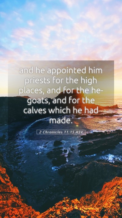 Picture 05 - 2 Chronicles 11:15 ASV Mobile Phone Wallpaper - and he appointed him priests for the high places, - Mobile Bible Verse Wallpaper