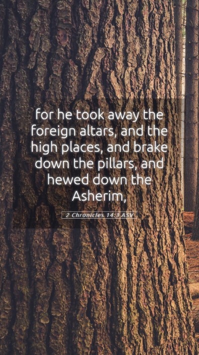 Picture 05 - 2 Chronicles 14:3 ASV Mobile Phone Wallpaper - for he took away the foreign altars, and the high - Mobile Bible Verse Wallpaper