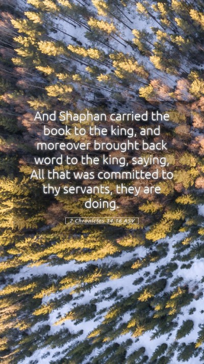 Picture 05 - 2 Chronicles 34:16 ASV Mobile Phone Wallpaper - And Shaphan carried the book to the king, and - Mobile Bible Verse Wallpaper