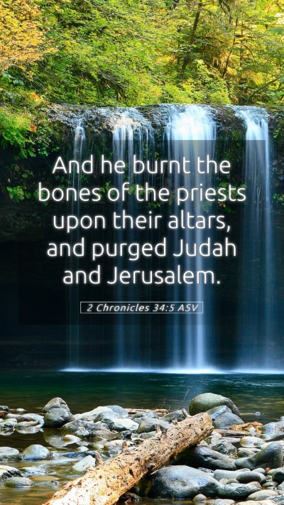 Picture 05 - 2 Chronicles 34:5 ASV Mobile Phone Wallpaper - And he burnt the bones of the priests upon their - Mobile Bible Verse Wallpaper