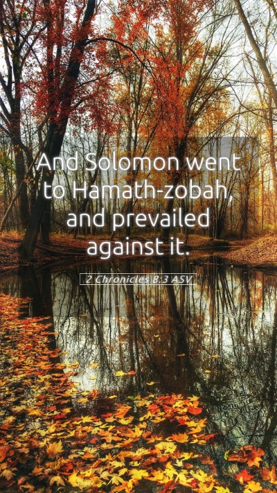 Picture 05 - 2 Chronicles 8:3 ASV Mobile Phone Wallpaper - And Solomon went to Hamath-zobah, and prevailed - Mobile Bible Verse Wallpaper
