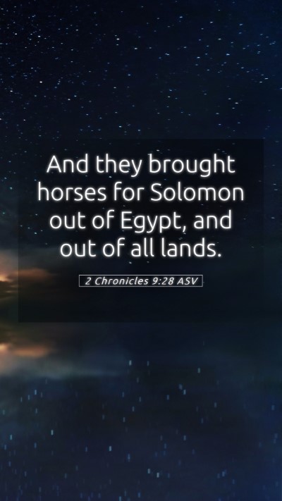 Picture 05 - 2 Chronicles 9:28 ASV Mobile Phone Wallpaper - And they brought horses for Solomon out of Egypt, - Mobile Bible Verse Wallpaper