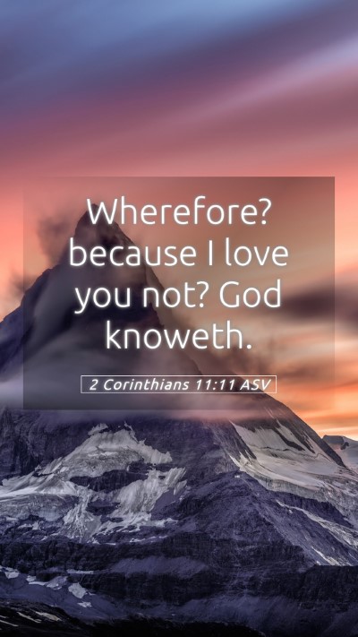 Picture 05 - 2 Corinthians 11:11 ASV Mobile Phone Wallpaper - Wherefore? because I love you not? God - Mobile Bible Verse Wallpaper