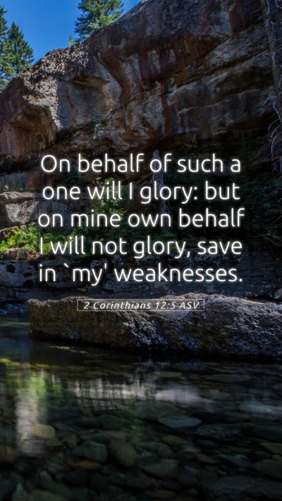 Picture 05 - 2 Corinthians 12:5 ASV Mobile Phone Wallpaper - On behalf of such a one will I glory: but on mine - Mobile Bible Verse Wallpaper